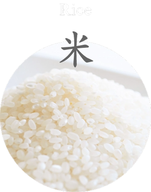 Rice